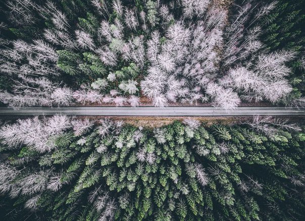 Фото интересные и не только