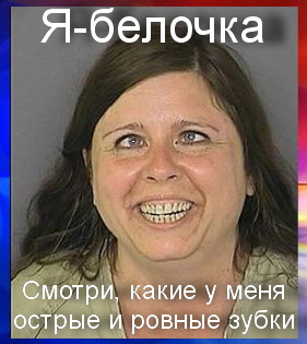 Женщина ловила белок и обучала их нападению на бывшего любовника