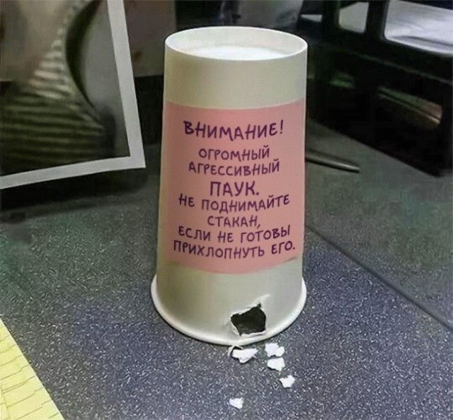 Подборка интересных и веселых картинок