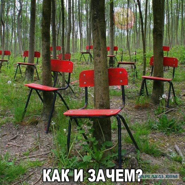 27 фото, на которых происходит непонятно что