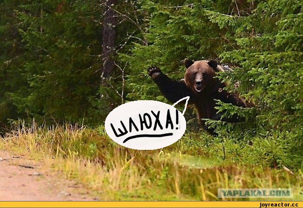 Забавный кастинг ведущей