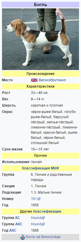 Собака играет на пианино