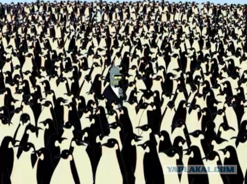 В Антарктиде благодаря снимкам из космоса нашли колонию пингвинов из 1,5 миллионов особей