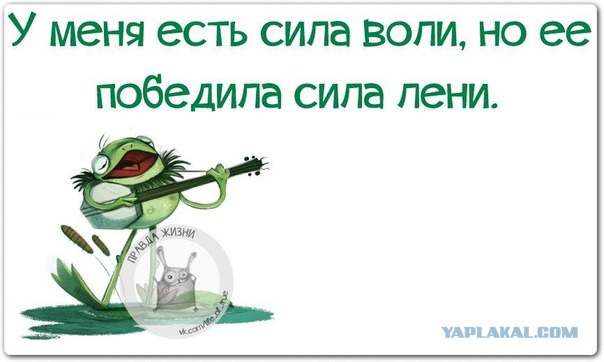 Итоги проверки пользователей