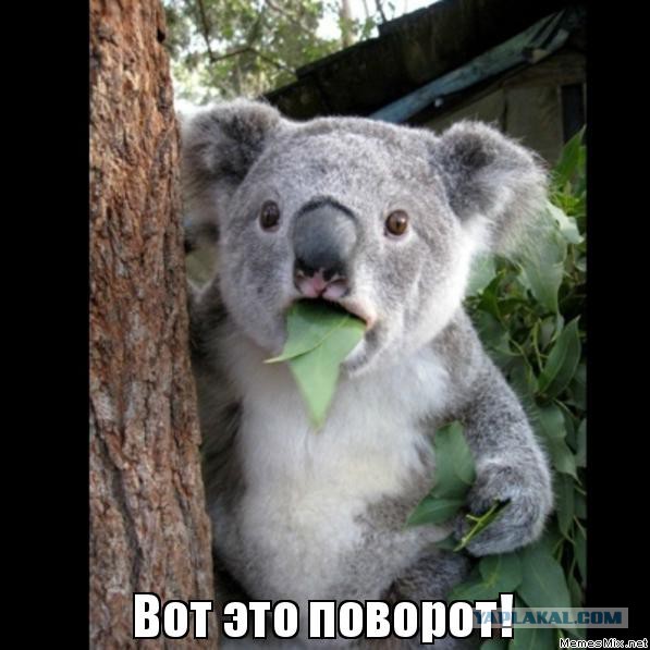 Я м*дак? О родственниках