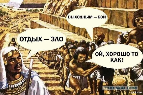 Для вас дача это хобби или источник дохода?