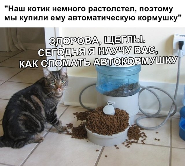 Нестандартный юмор
