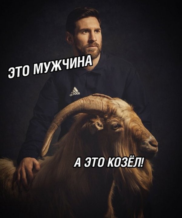 Анекдоты, соц-сети, истории и картинки с надписями