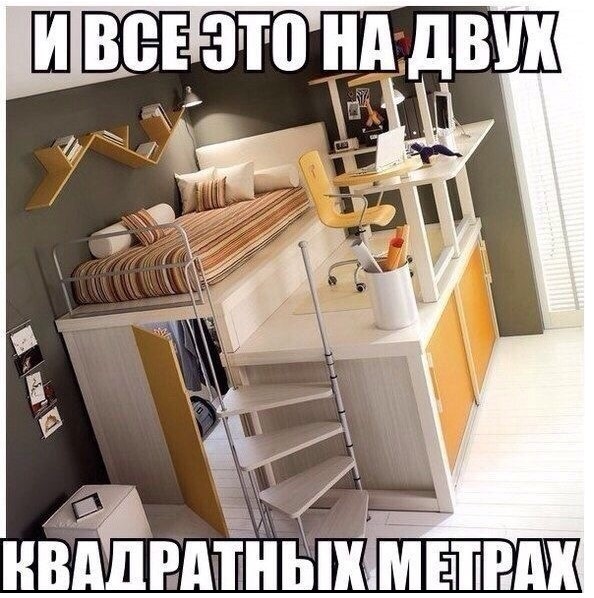 Анекдоты, соц-сети, истории и картинки с надписями