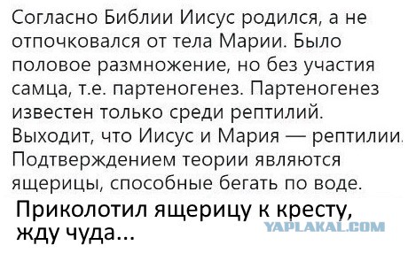 Не очень адекватный юмор