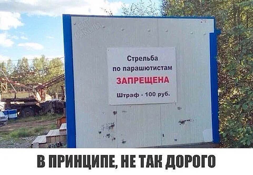 13222346.jpg