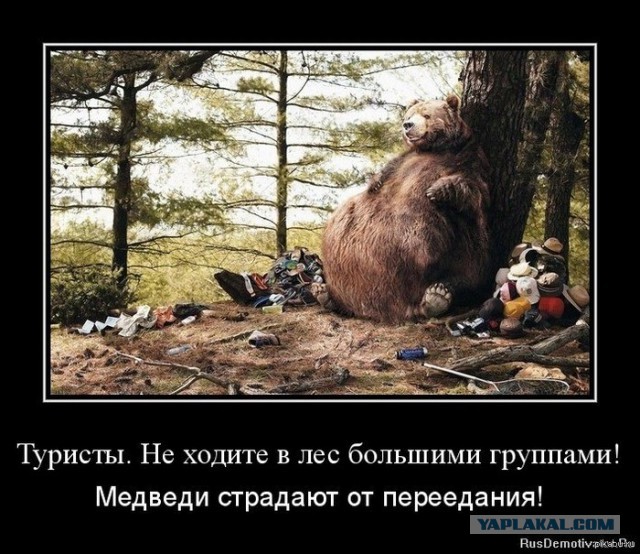 Выживешь ли ты в тайге?