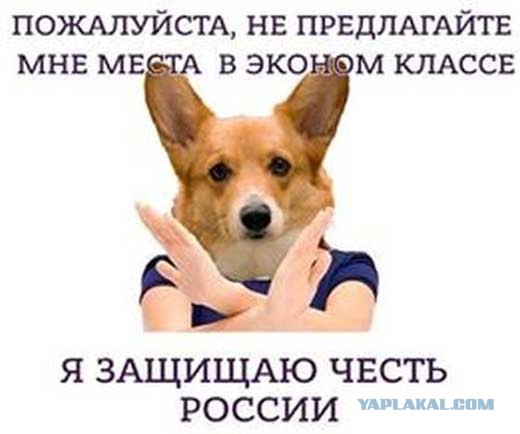 В Москве появились в продаже квартиры площадью... 11 квадратных метров