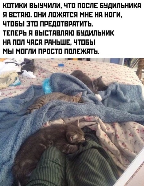 Немного картинок для настроения 29.01.20