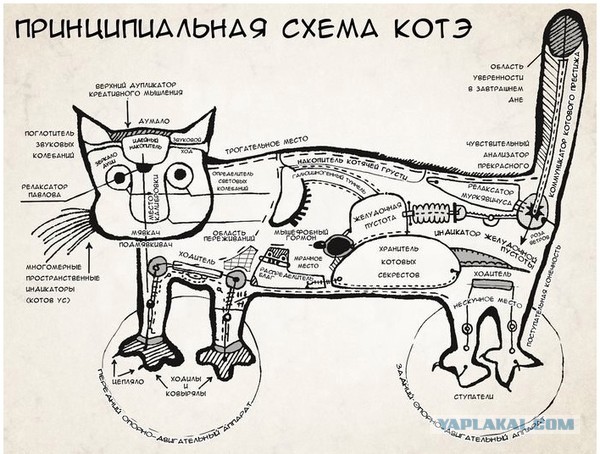 Механический кот. Найдены черновики