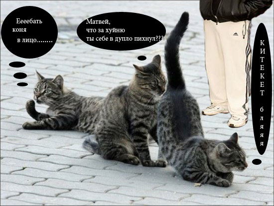 Подпиши фото!