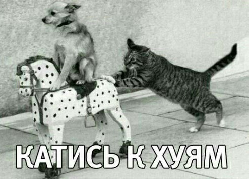 Мужчины сами виноваты в низком качестве современных женщин!