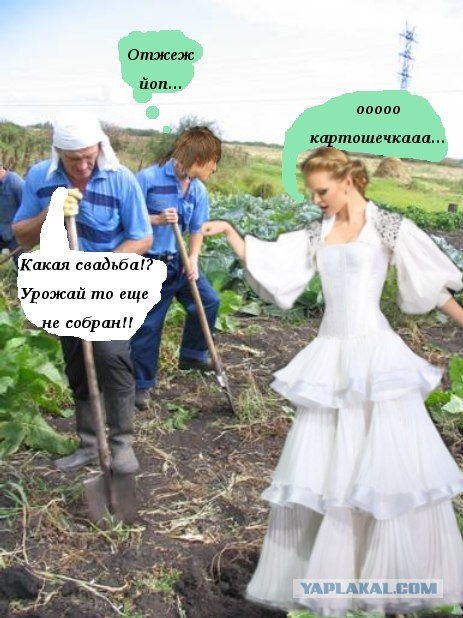 Свадьба Билана