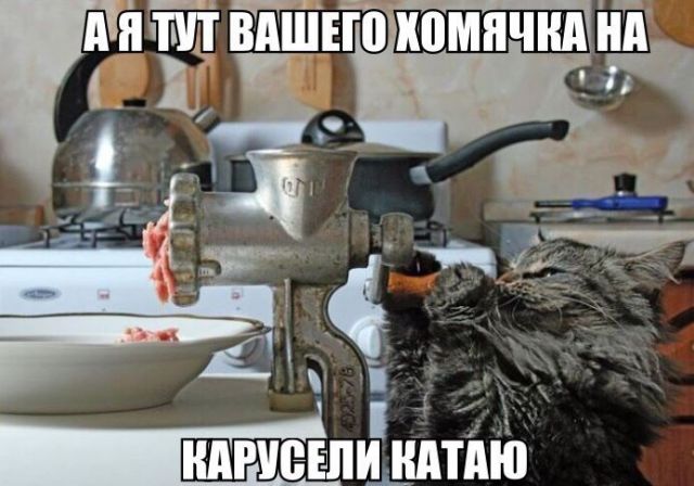 Старые картинки, продолжение