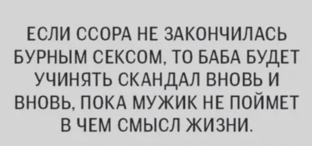 Фотки и картинки: юморные и красивые, забавные и милые 13.11.20
