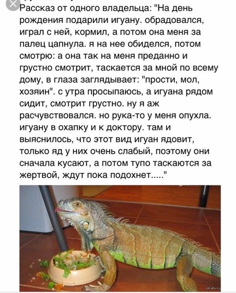 На ком нынче женятся нормальные мужчины