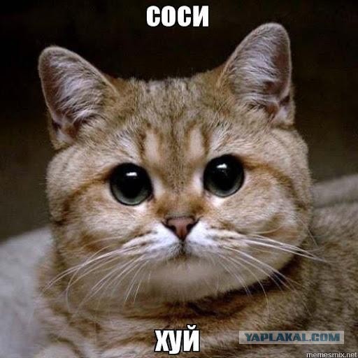 На ком нынче женятся нормальные мужчины