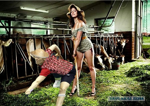 Бадминтон (Жабы)