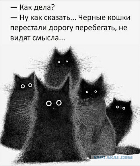 Картинки с надписями и всякие жизненные фразы 12.1.21