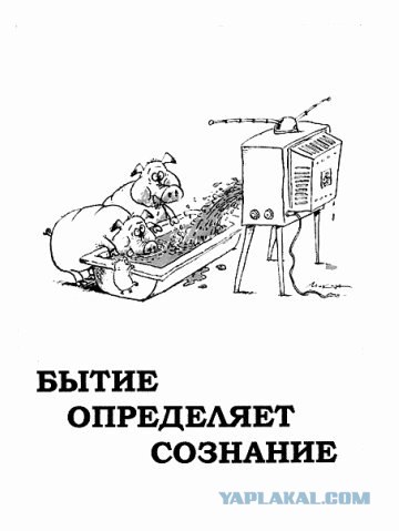 Смерть Дома 2