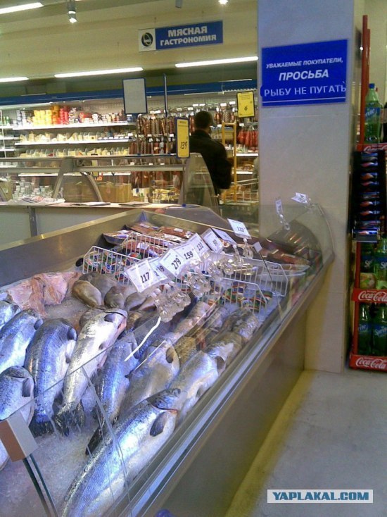 Объява в магазине
