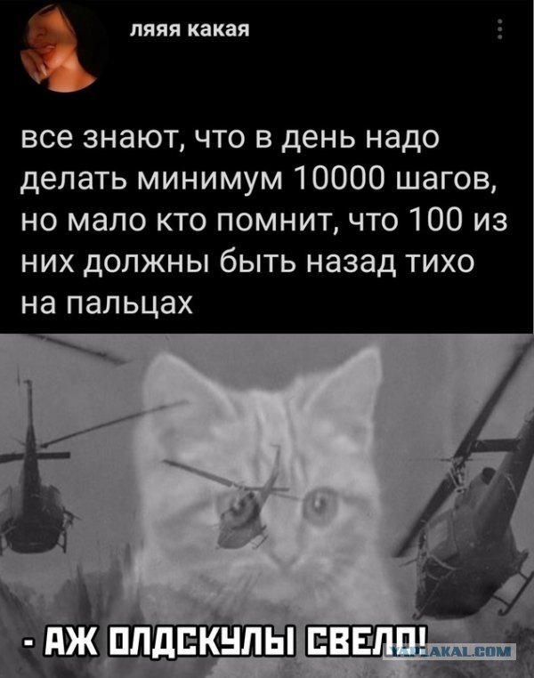 Картинки и мемы для настроения 28.04.2021
