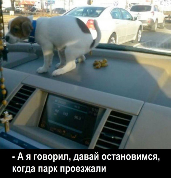Так себе картинки 19.05.21
