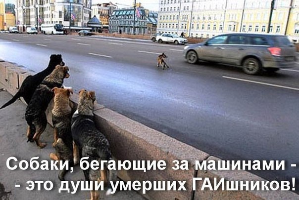 Так себе картинки 23.05.21