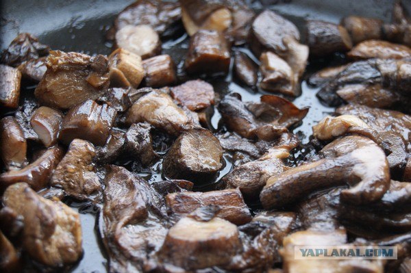 Телятина с подберезовиками)))