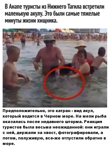 Так себе картинки 07.08.21