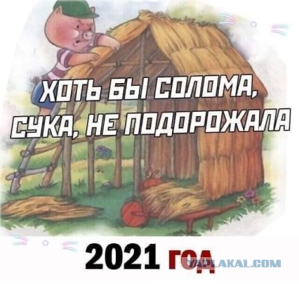Так себе картинки 12.08.21