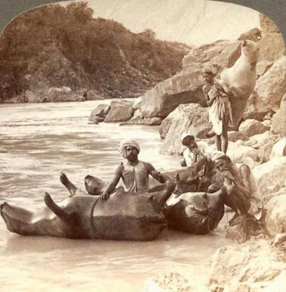 История в фотографиях 26.08.2021