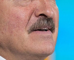 Торт ест картошку