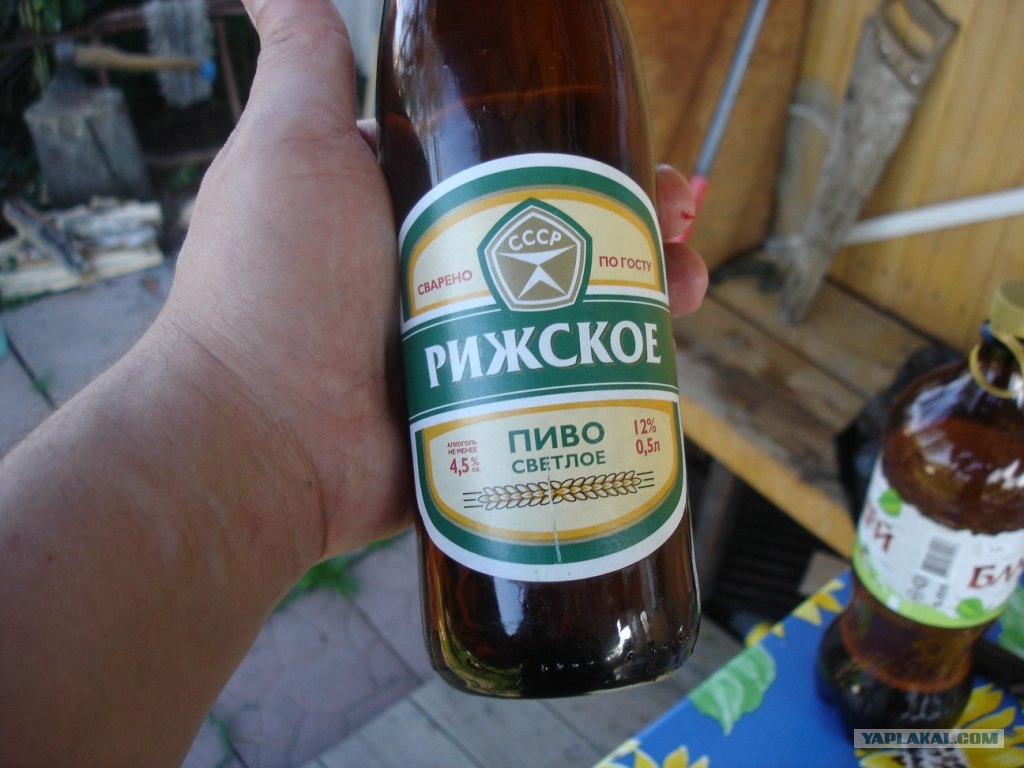 Пиво Вятич Рижское Светлое Купить В Москве