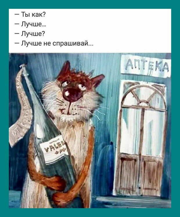 Баянисто-небаянистый юмор 10.09.21