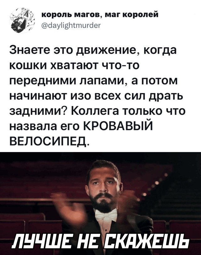 Так себе картинки 10.10.21