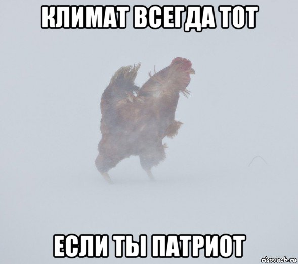 Всякий хлам с жесткого диска