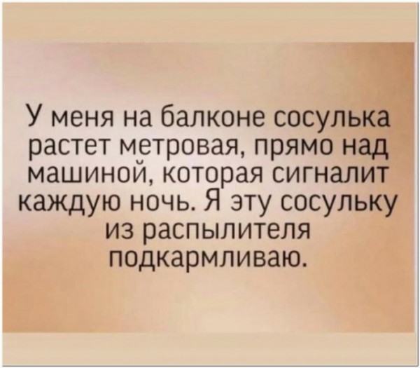 Мемасики от Димасика - Часть 1 (+20 мемов)