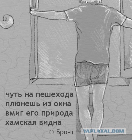 Так себе картинки 19.03.22