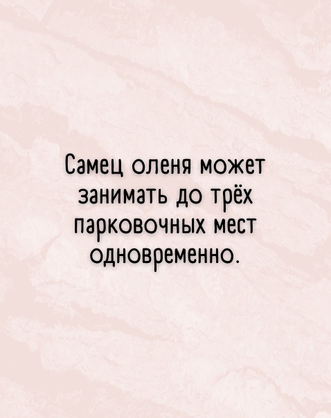 Так себе картинки 08.05.22