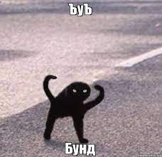 Разоспалась тут... Подъём!