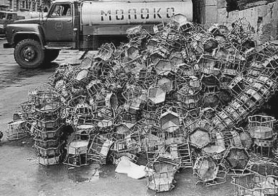 В России приступили к созданию «отечественного Tetra Pak»