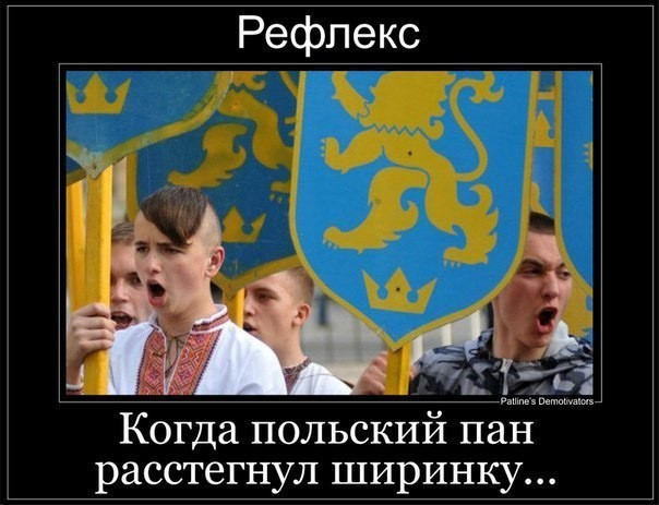 Выжившие рассказывают
