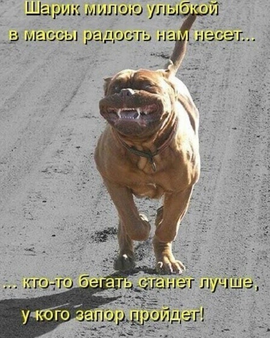 Весёлый полтишок 29.06.22