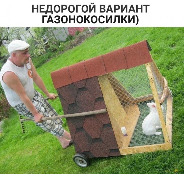 Картинки и мемы для настроения - 29